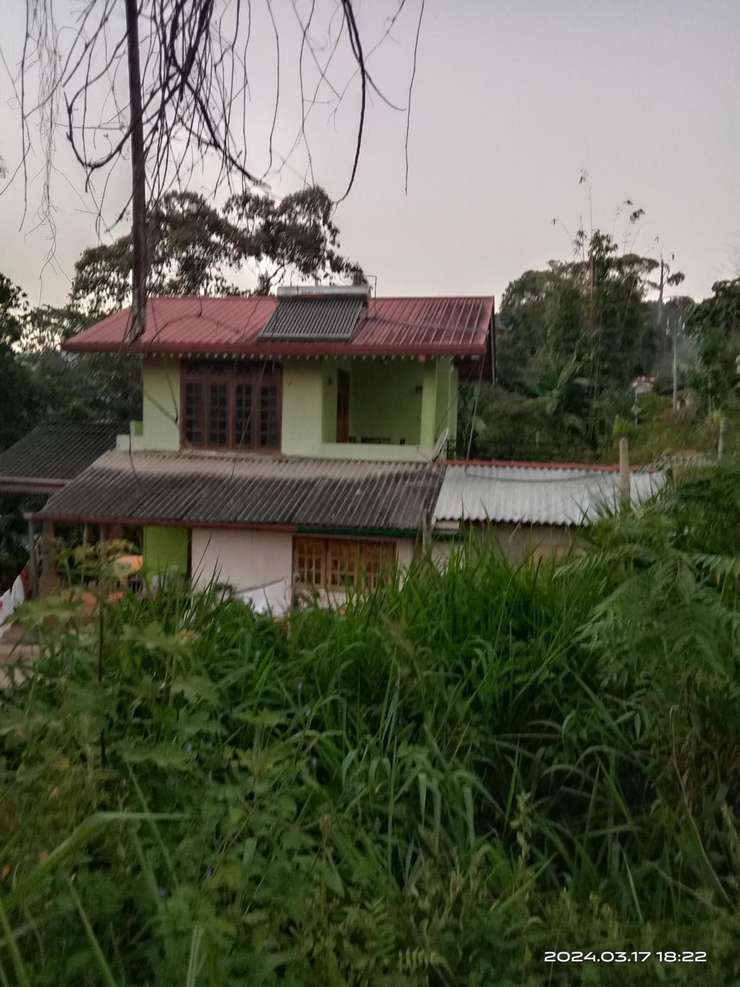 אלה Sudumal Cottage מראה חיצוני תמונה